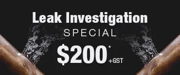 Leak Investigation Discount Mairangi Bay