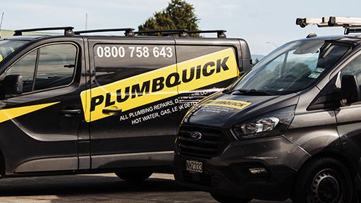 Professional Mairangi Bay Plumbers